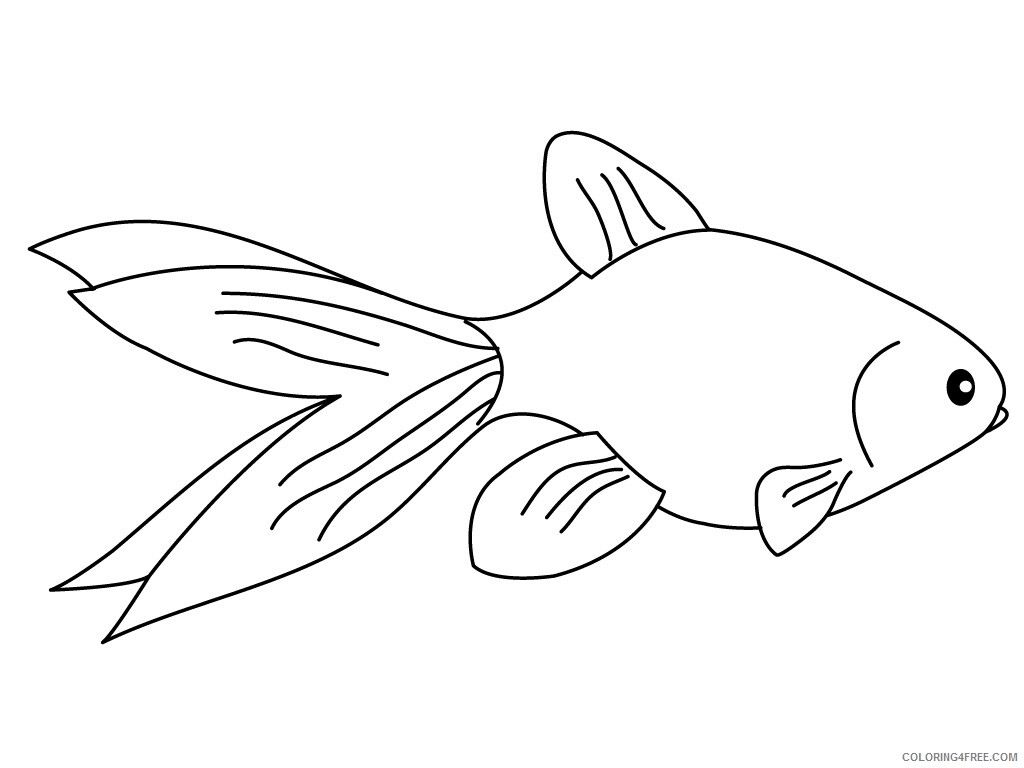 Fish Coloring Pages Animal Printable Sheets Goldfish For Kids 2021 2104 Coloring4free