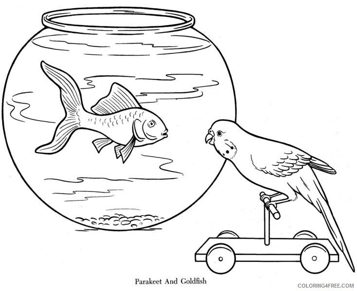 Fish Coloring Pages Animal Printable Sheets Parakeet and Goldfish 2021 2112 Coloring4free