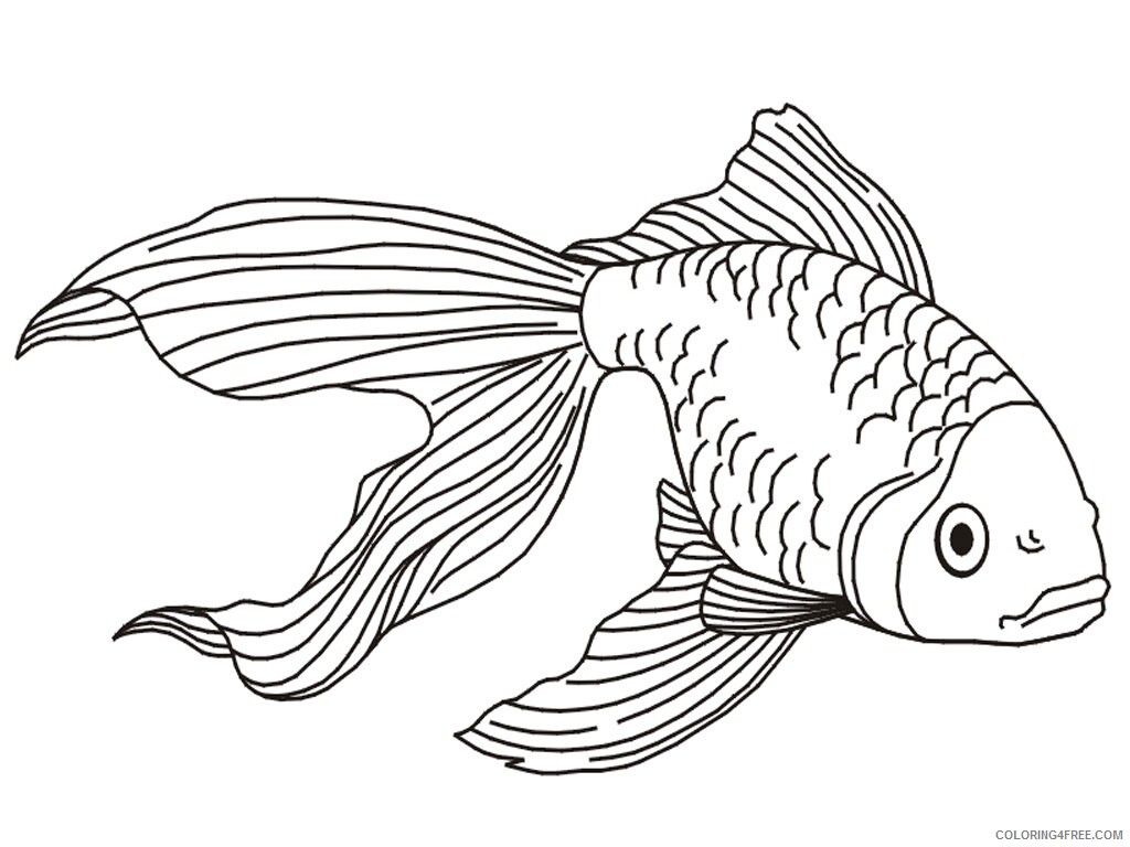 Fish Coloring Pages Animal Printable Sheets Printable Goldfish 2021 2113 Coloring4free