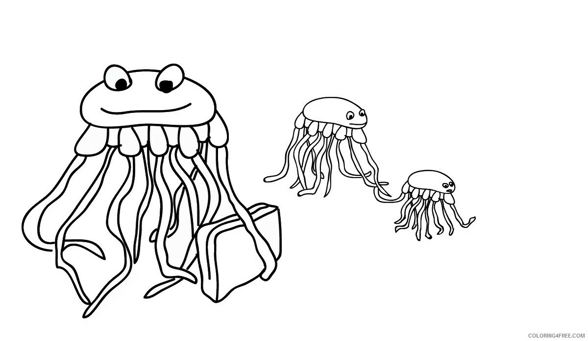 Октонафты медузы