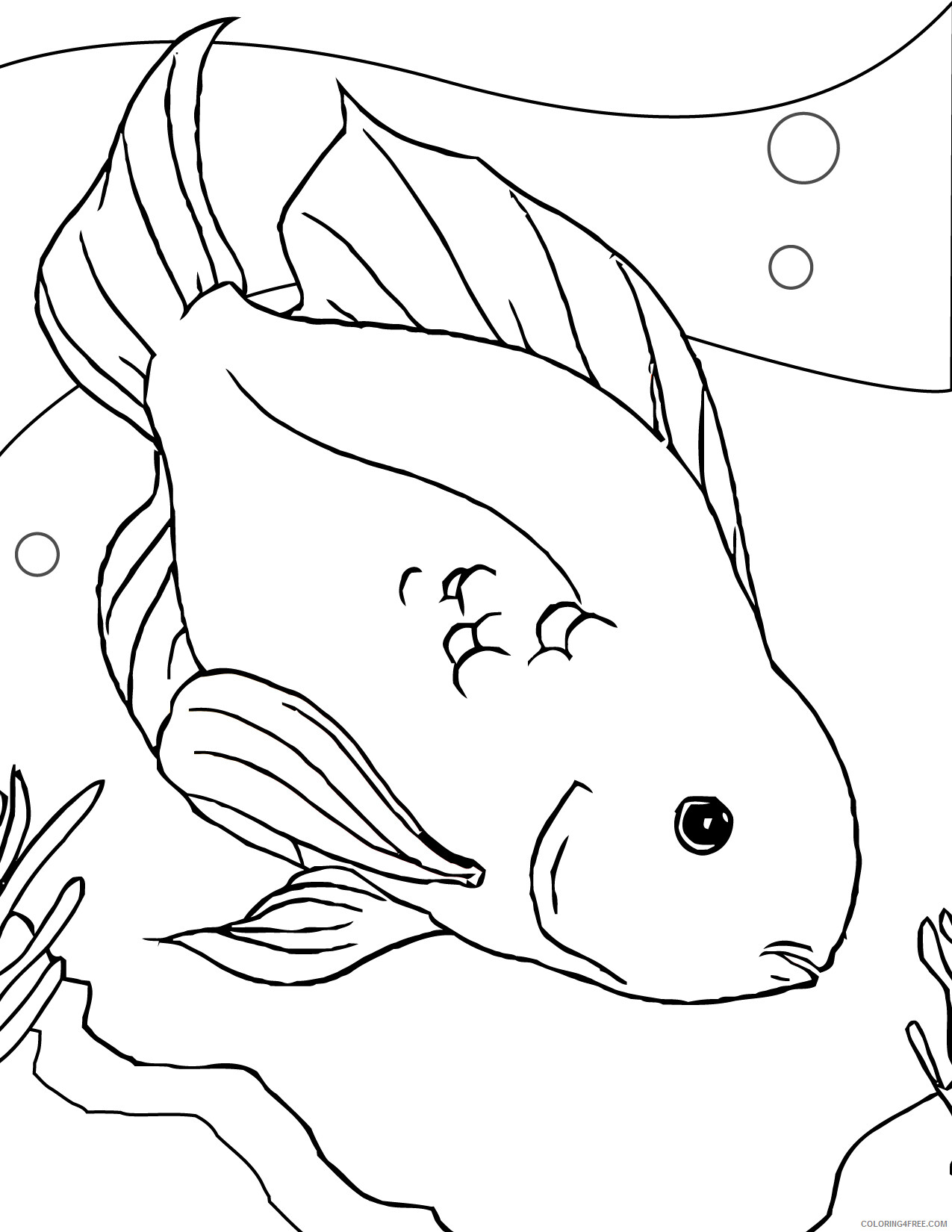 Fish Coloring Pages Animal Printable Sheets of a Fish 2021 2069 Coloring4free