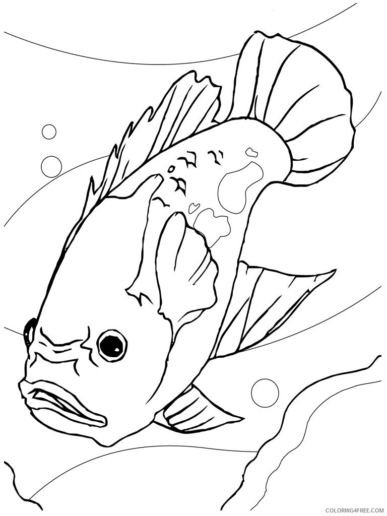 Fish Coloring Pages Animal Printable Sheets of a Fish 2021 2070 Coloring4free