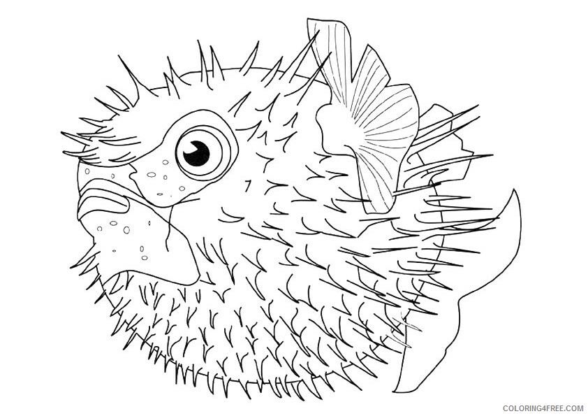 Fish Coloring Sheets Animal Coloring Pages Printable 2021 1714 Coloring4free