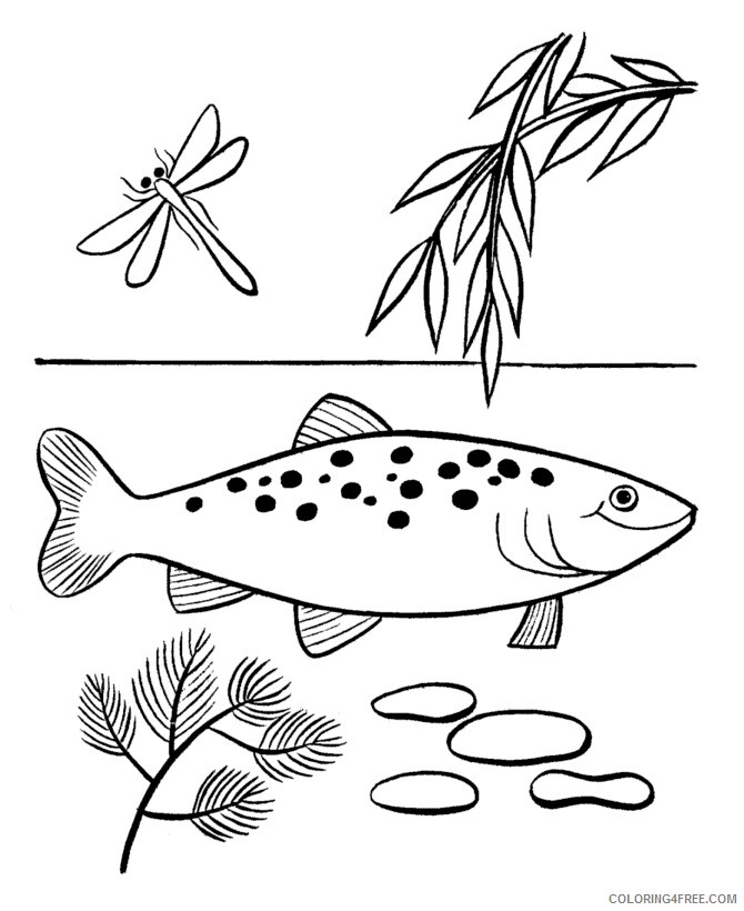Fish Coloring Sheets Animal Coloring Pages Printable 2021 1763 Coloring4free