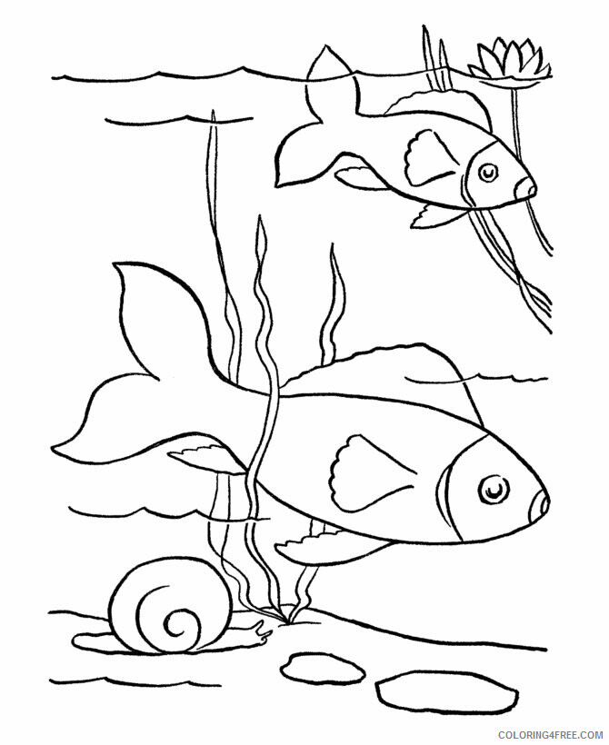 Fish Coloring Sheets Animal Coloring Pages Printable 2021 1765 Coloring4free