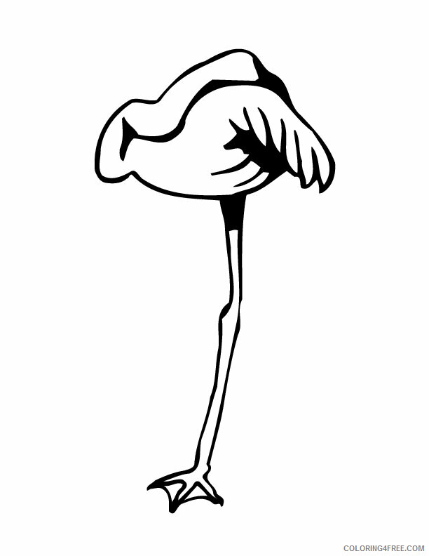 Flamingo Coloring Sheets Animal Coloring Pages Printable 2021 1795 Coloring4free