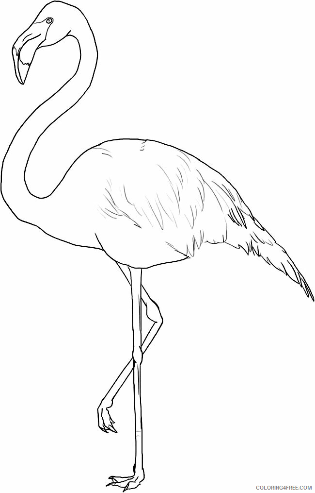 Flamingo Coloring Sheets Animal Coloring Pages Printable 2021 1803 Coloring4free