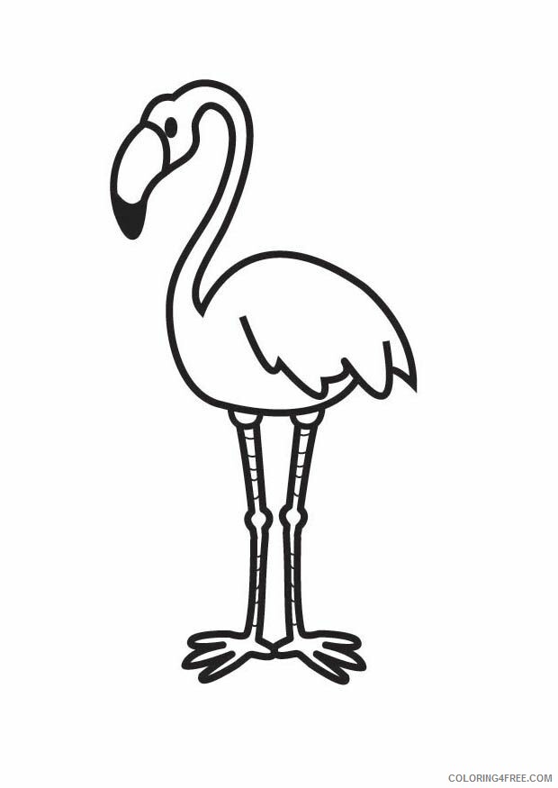 Flamingo Coloring Sheets Animal Coloring Pages Printable 2021 1804 Coloring4free