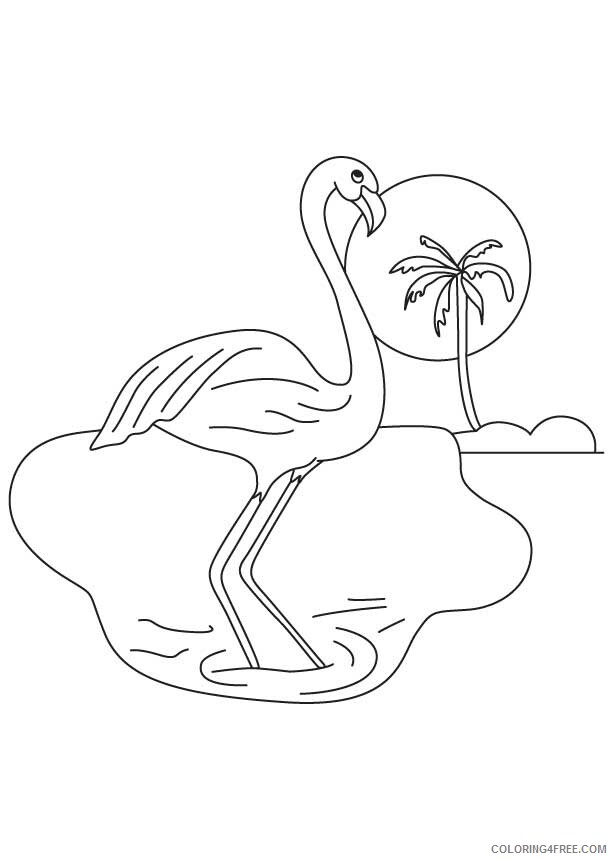 Flamingo Coloring Sheets Animal Coloring Pages Printable 2021 1806 Coloring4free