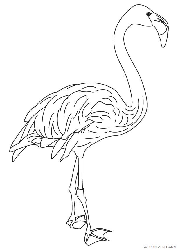 Flamingo Coloring Sheets Animal Coloring Pages Printable 2021 1807 Coloring4free