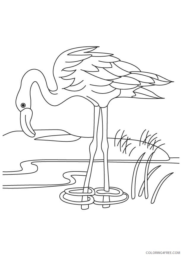Flamingo Coloring Sheets Animal Coloring Pages Printable 2021 1809 Coloring4free