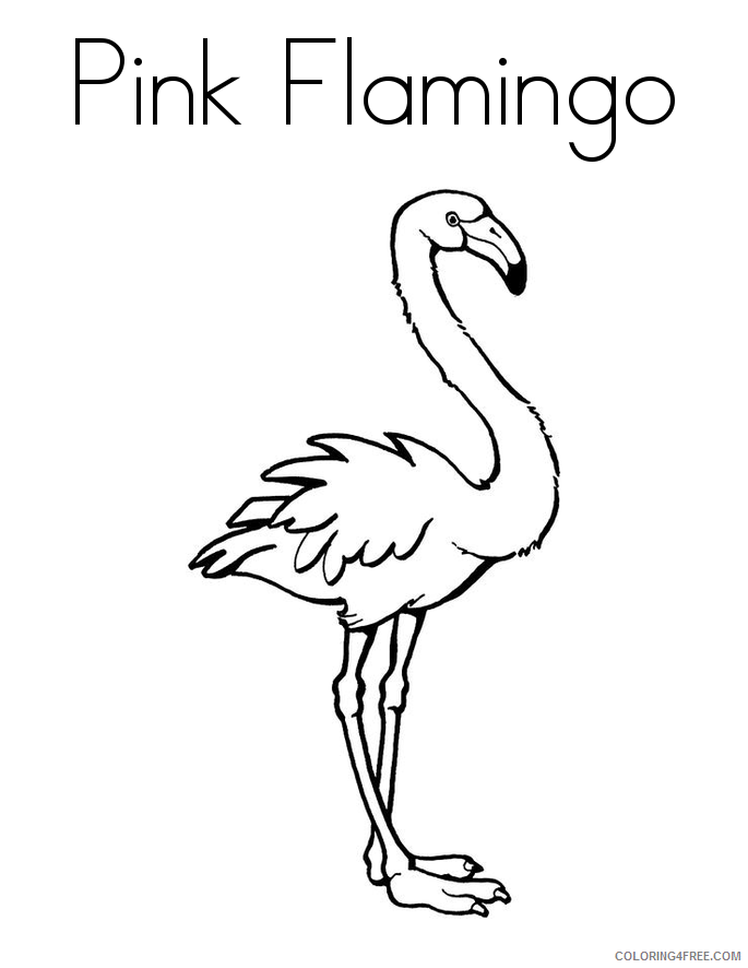 Flamingo Coloring Sheets Animal Coloring Pages Printable 2021 1812 Coloring4free