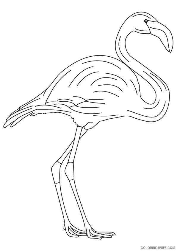 Flamingo Coloring Sheets Animal Coloring Pages Printable 2021 1814 Coloring4free