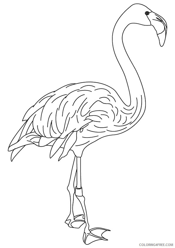 Flamingo Coloring Sheets Animal Coloring Pages Printable 2021 1815 Coloring4free