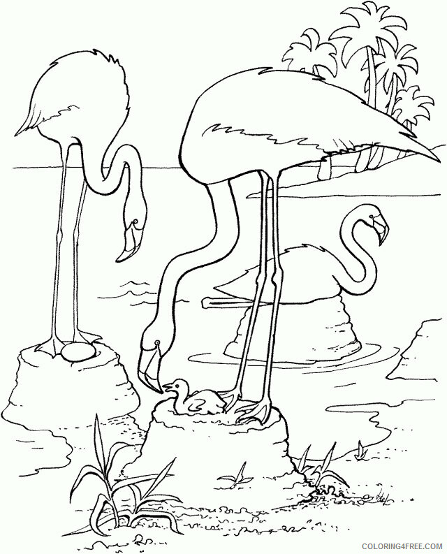 Flamingo Coloring Sheets Animal Coloring Pages Printable 2021 1824 Coloring4free