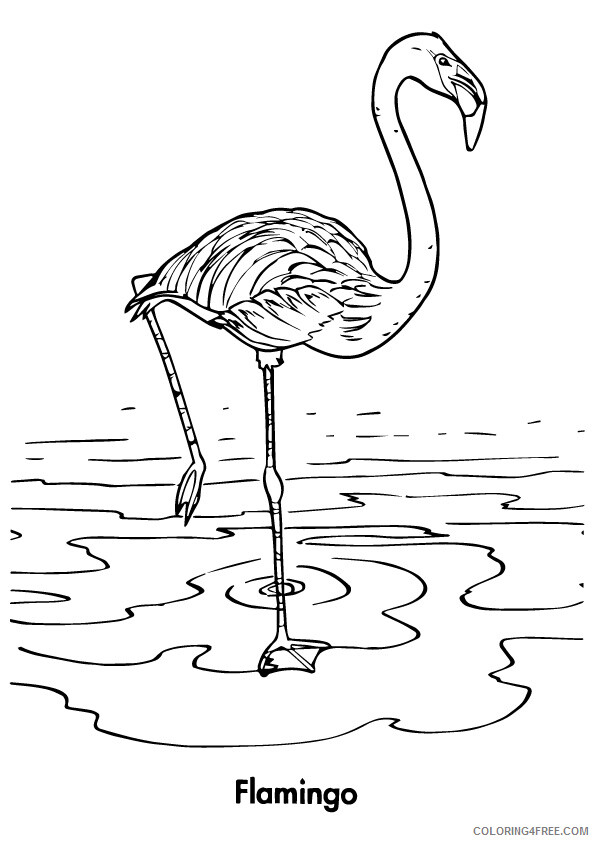 Flamingo Coloring Sheets Animal Coloring Pages Printable 2021 1825 Coloring4free