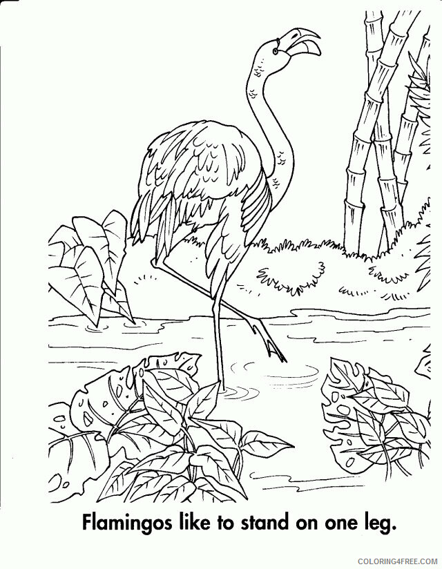 Flamingo Coloring Sheets Animal Coloring Pages Printable 2021 1827 Coloring4free