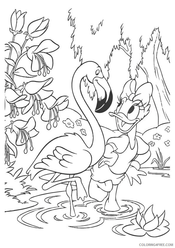 Flamingo Coloring Sheets Animal Coloring Pages Printable 2021 1828 Coloring4free