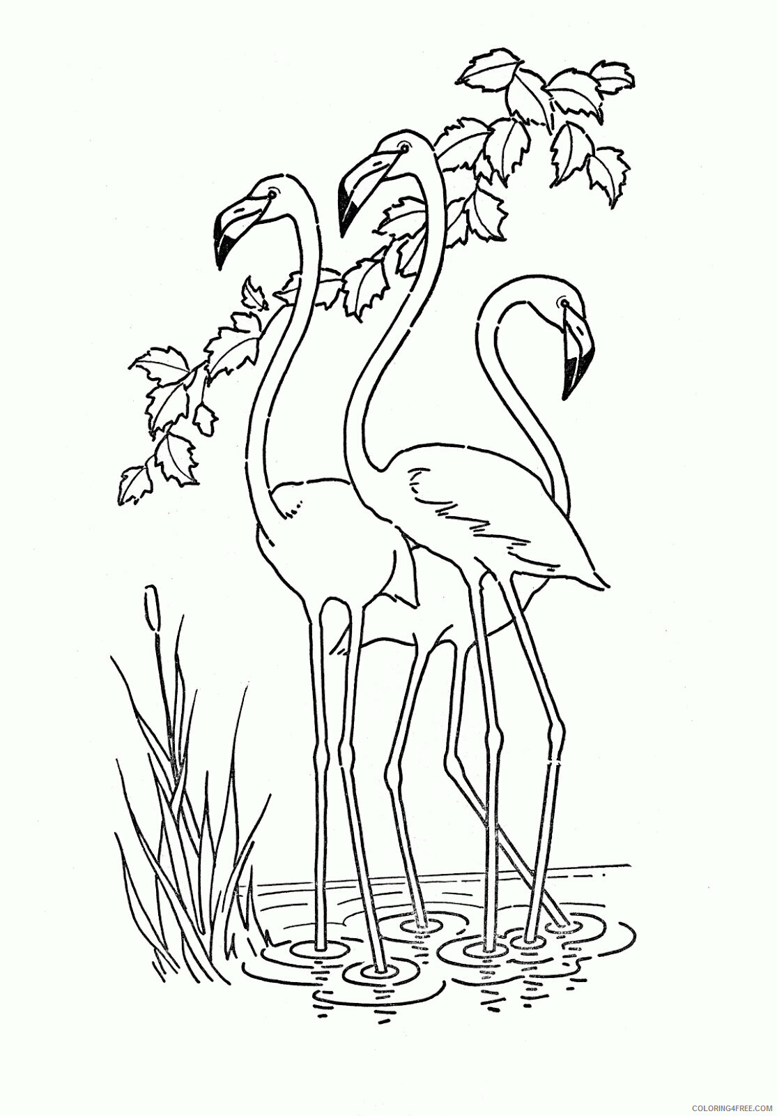 Flamingo Coloring Sheets Animal Coloring Pages Printable 2021 1831 Coloring4free