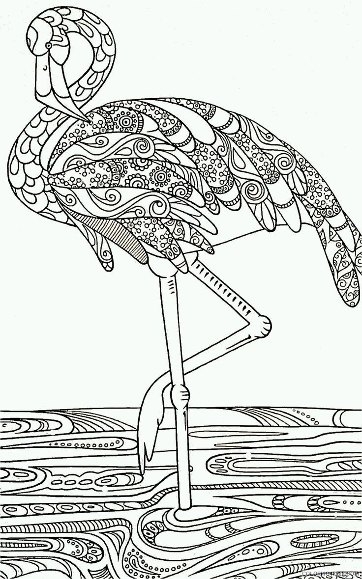 Flamingo Coloring Sheets Animal Coloring Pages Printable 2021 1832 Coloring4free