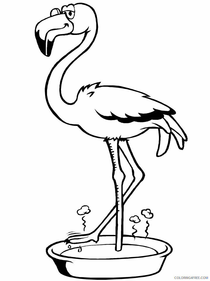 Flamingos Coloring Pages Animal Printable Sheets Easy Flamingo 2021 2135 Coloring4free
