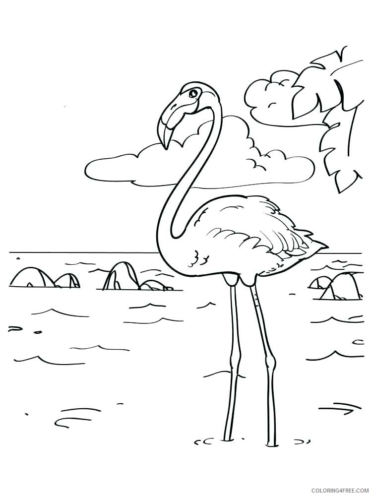 Flamingos Coloring Pages Animal Printable Sheets Flamingo 2021 2141 Coloring4free