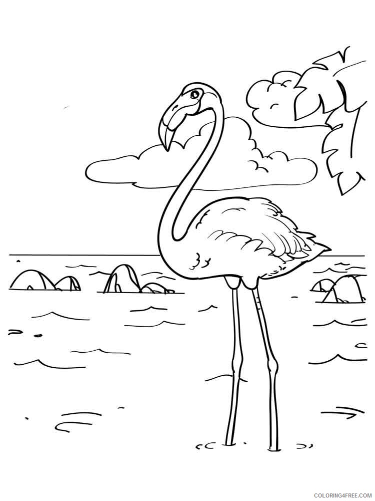 Flamingos Coloring Pages Animal Printable Sheets Flamingos birds 12 2021 2144 Coloring4free