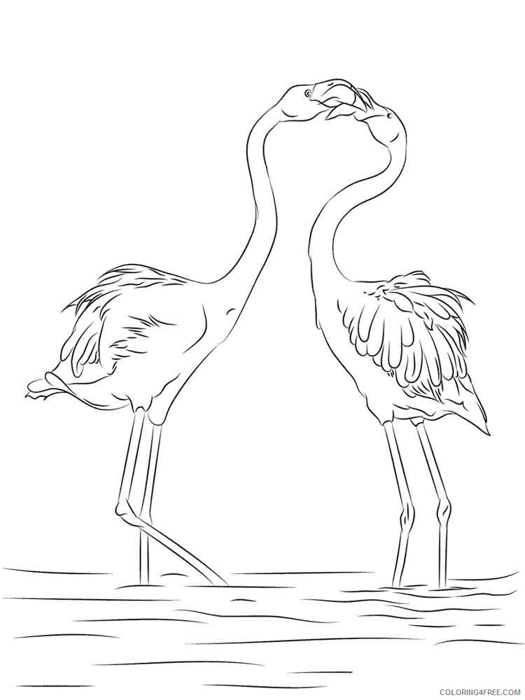 Flamingos Coloring Pages Animal Printable Sheets Flamingos birds 13 2021 2145 Coloring4free