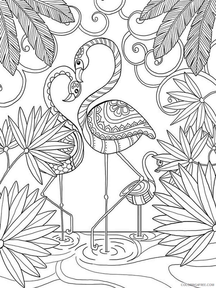 Flamingos Coloring Pages Animal Printable Sheets Flamingos birds 16 2021 2147 Coloring4free
