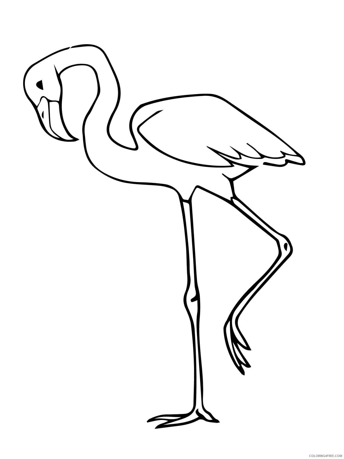 Flamingos Coloring Pages Animal Printable Sheets pink flamingo bird 2021 2157 Coloring4free