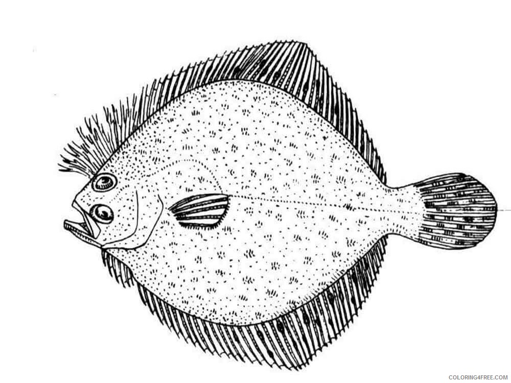 Flounders Coloring Pages Animal Printable Sheets Flounders 5 2021 2164 Coloring4free