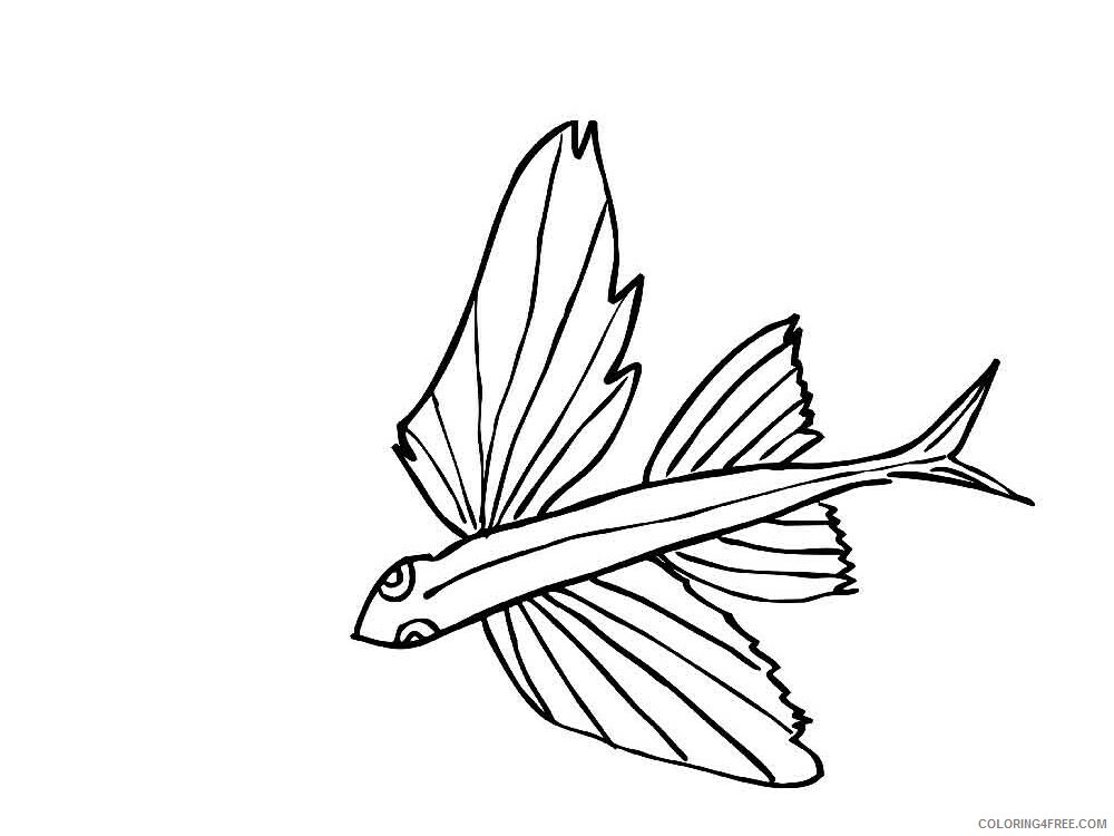 Flying Fish Coloring Pages Animal Printable Sheets Flying fish 1 2021 2180 Coloring4free