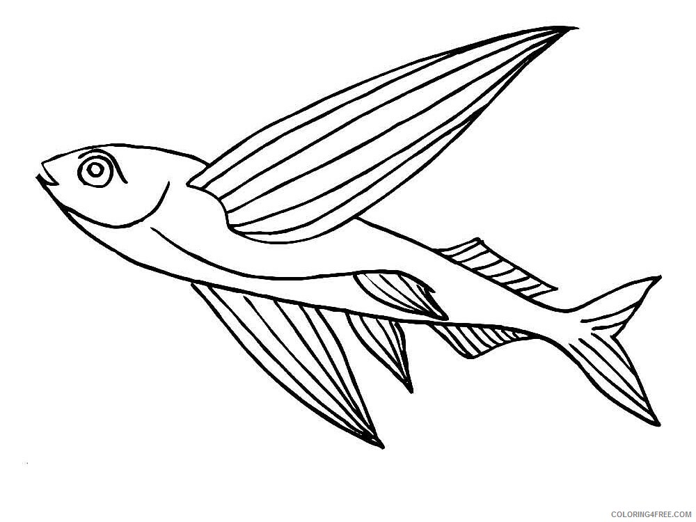 Flying Fish Coloring Pages Animal Printable Sheets Flying fish 2 2021 2182 Coloring4free