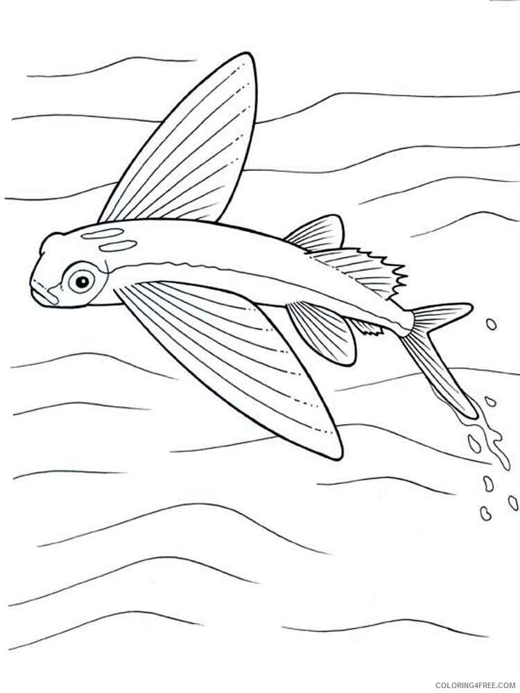 Flying Fish Coloring Pages Animal Printable Sheets Flying fish 4 2021 2184 Coloring4free