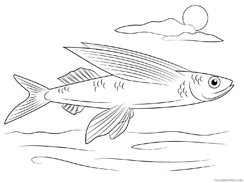 Flying Fish Coloring Pages Animal Printable Sheets Flying fish 7 2021 2185 Coloring4free