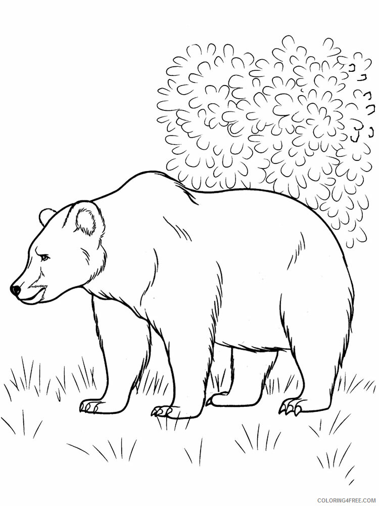 Forest Animals Coloring Pages Animal Printable Sheets Forest animals 10 2021 2189 Coloring4free