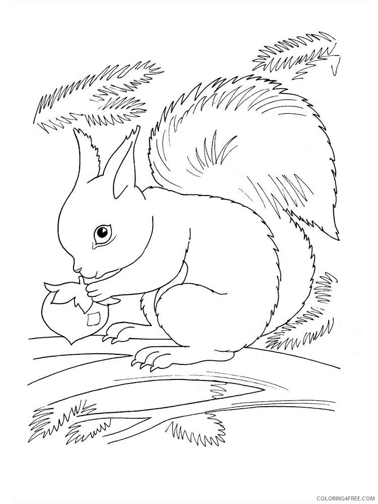 Forest Animals Coloring Pages Animal Printable Sheets Forest animals 12 2021 2191 Coloring4free