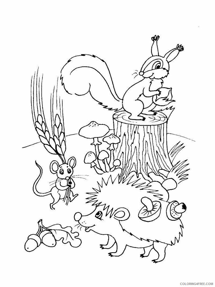 Forest Animals Coloring Pages Animal Printable Sheets Forest animals 16 2021 2195 Coloring4free