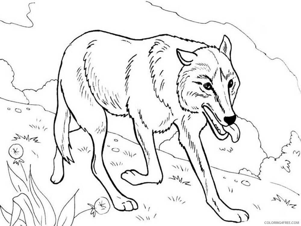 Forest Animals Coloring Pages Animal Printable Sheets Forest animals 2 2021 2199 Coloring4free