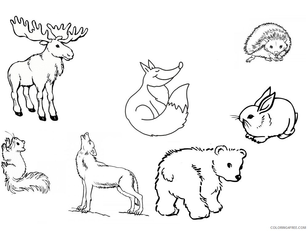 Forest Animals Coloring Pages Animal Printable Sheets Forest animals 6 2021 2203 Coloring4free