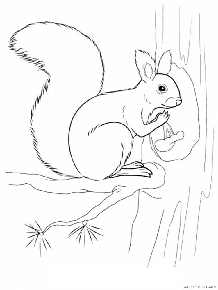 Forest Animals Coloring Pages Animal Printable Sheets Forest animals 7 2021 2204 Coloring4free