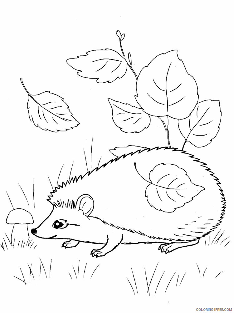 Forest Animals Coloring Pages Animal Printable Sheets Forest animals 9 2021 2205 Coloring4free