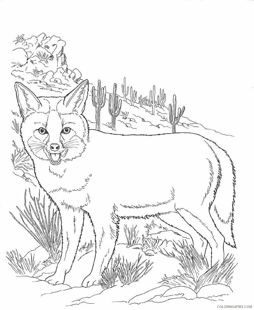 Fox Coloring Pages Animal Printable Sheets Desert Fox 2021 2219 Coloring4free