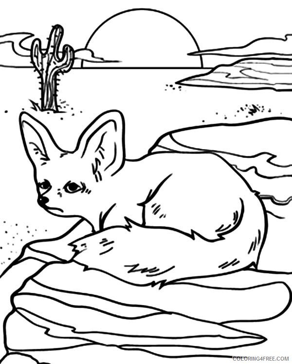 Fox Coloring Pages Animal Printable Sheets Desert Fox 2021 2220 Coloring4free