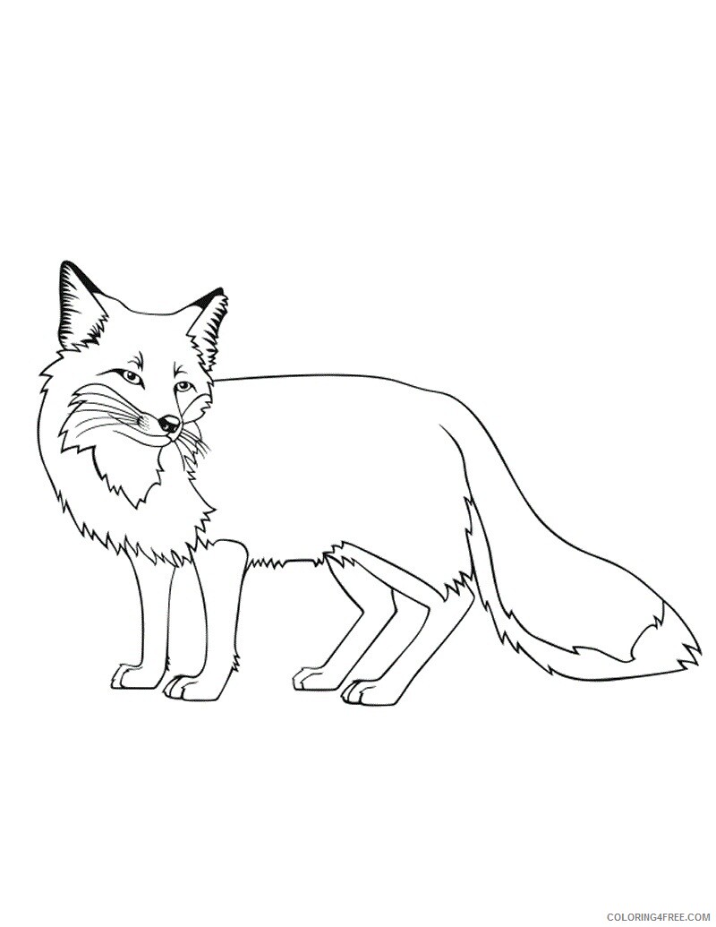 Fox Coloring Pages Animal Printable Sheets Fox 2021 2232 Coloring4free