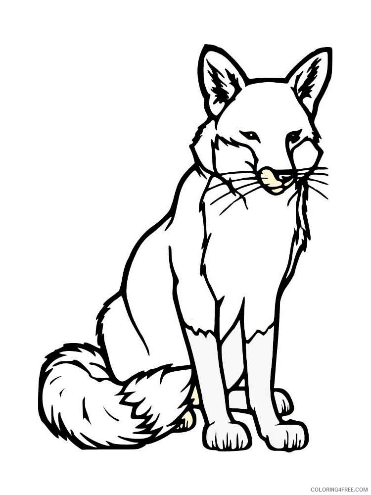 Fox Coloring Pages Animal Printable Sheets animals fox 7 2021 2216 Coloring4free