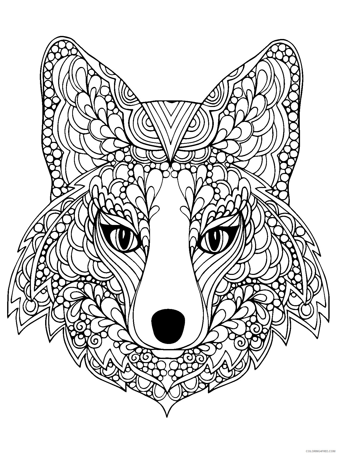 Fox Coloring Pages Animal Printable Sheets beutiful fox head 2021 2212 Coloring4free