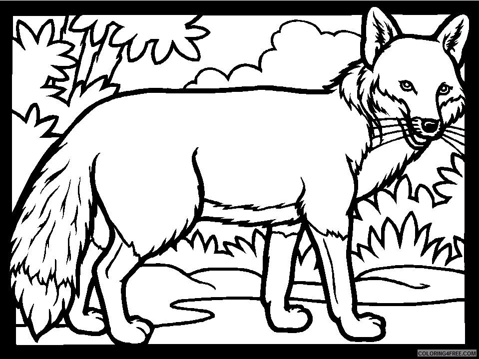 Fox Coloring Pages Animal Printable Sheets color fox 2021 2211 Coloring4free