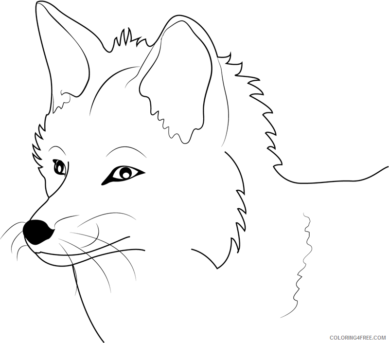Fox Coloring Pages Animal Printable Sheets fox face 2021 2235 Coloring4free