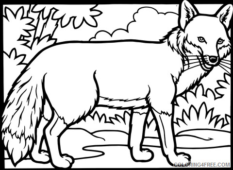 Fox Coloring Pages Animal Printable Sheets red fox 2021 2241 Coloring4free